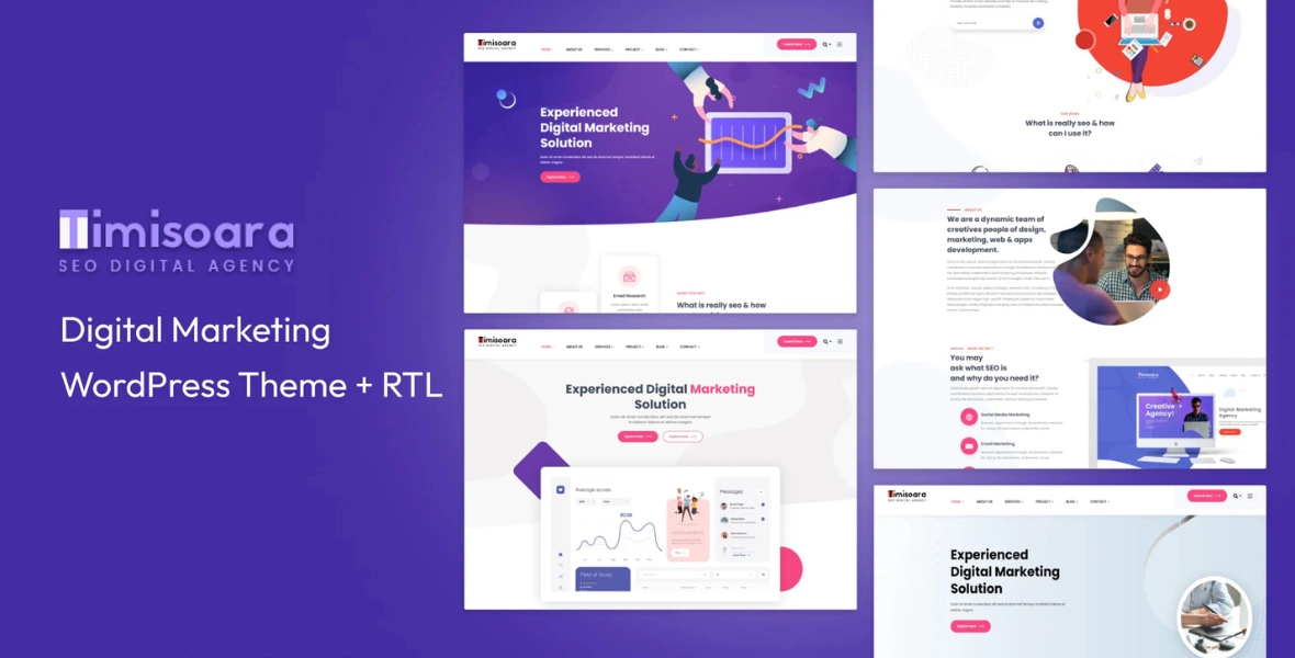 timisoara digital marketing